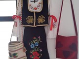5. Zlatovez
